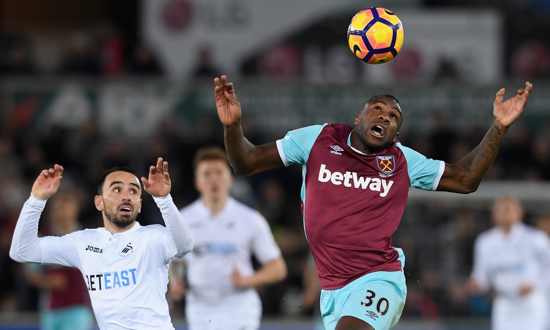 那不勒斯的 那不勒斯的